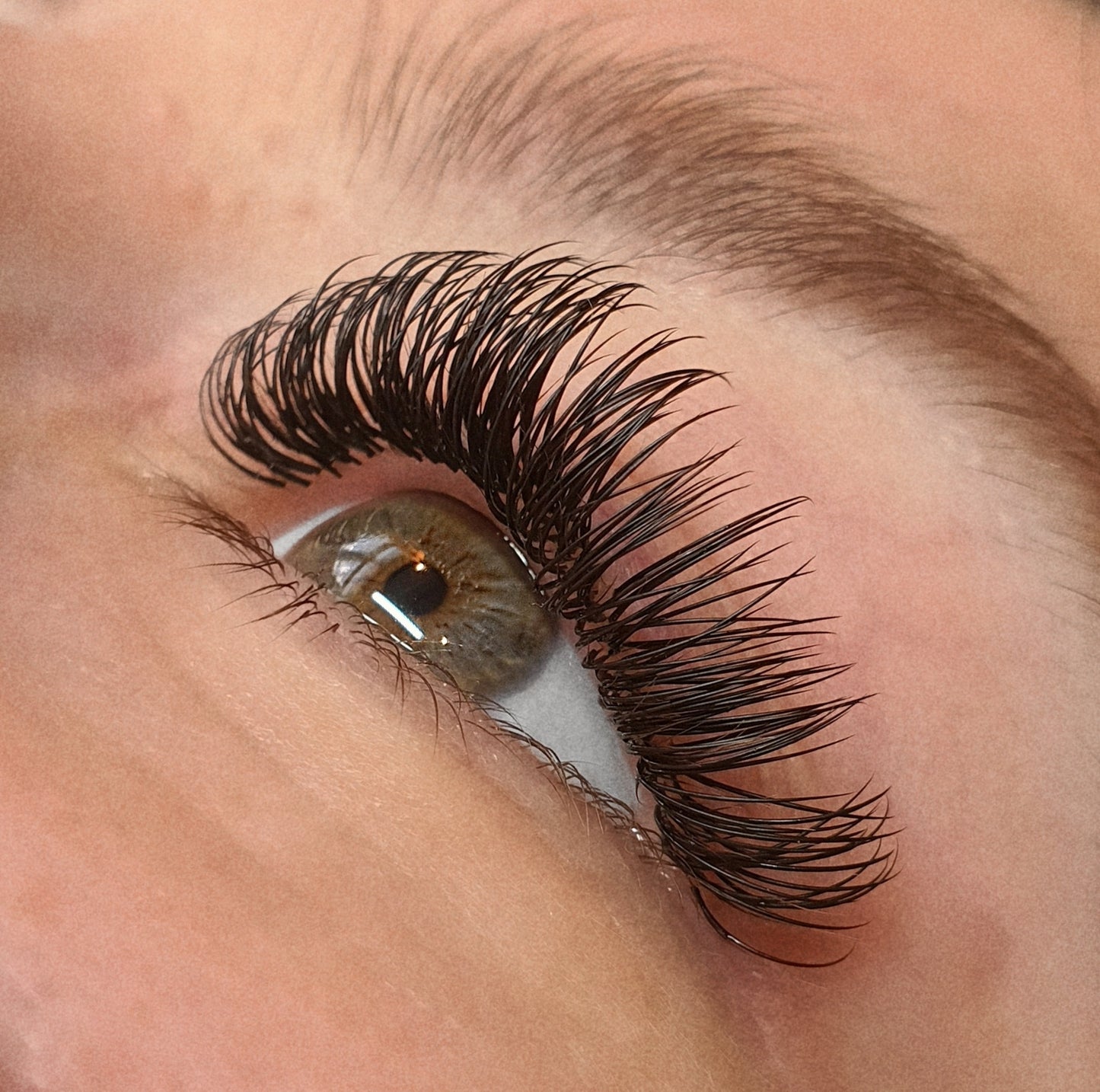 Classic/Volume Lashes